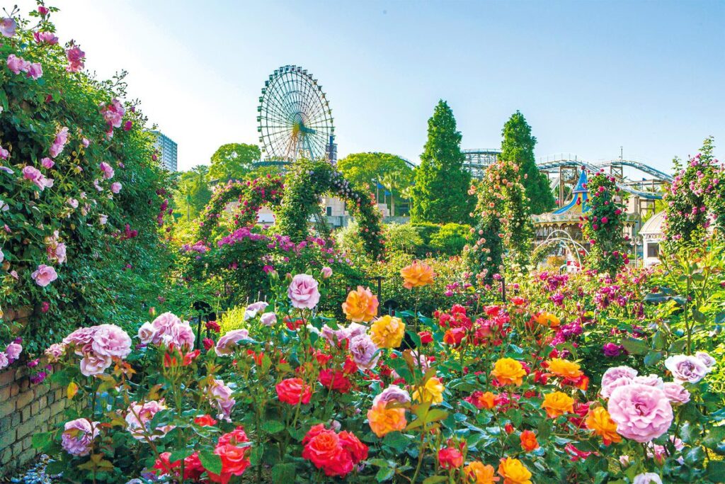 Amusement Parks - things to do in Osaka