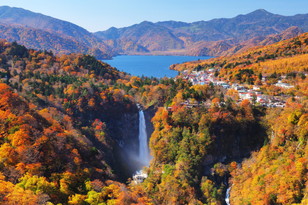 Day Trips From Tokyo