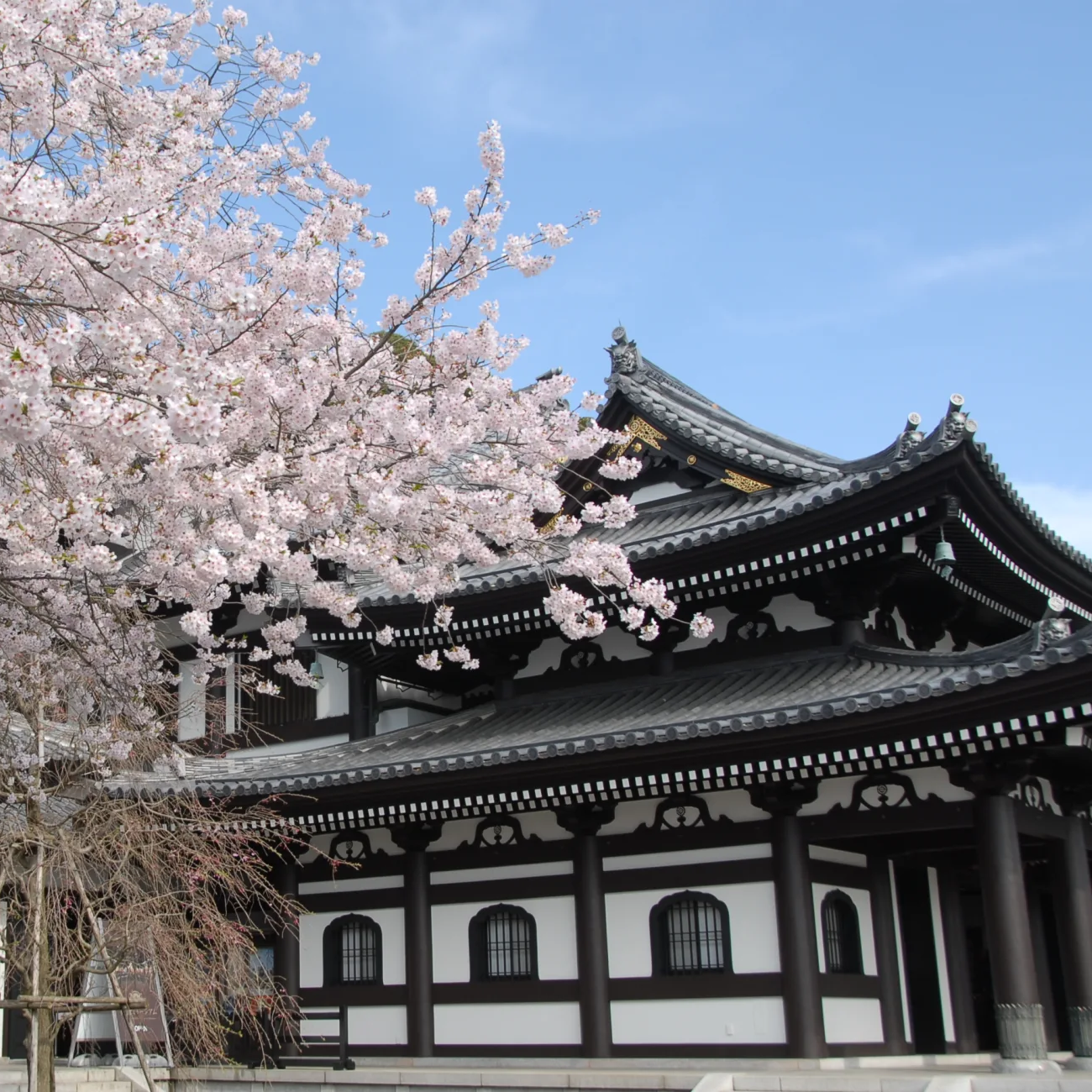 Day Trips From Tokyo