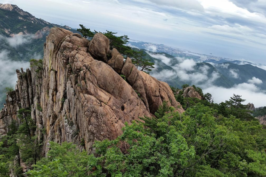 best month to visit Korea - spring