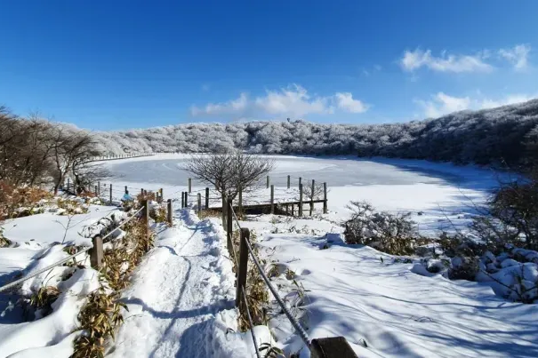 Winter in Jeju Island