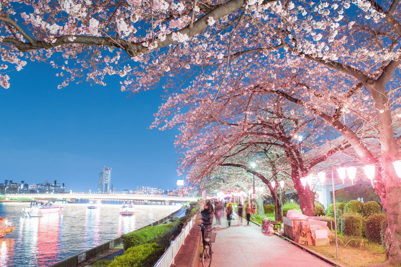 Best Time to Visit Tokyo