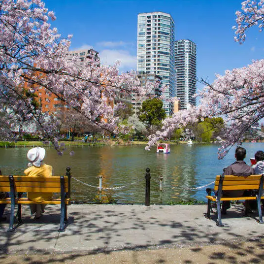 Best Time to Visit Tokyo