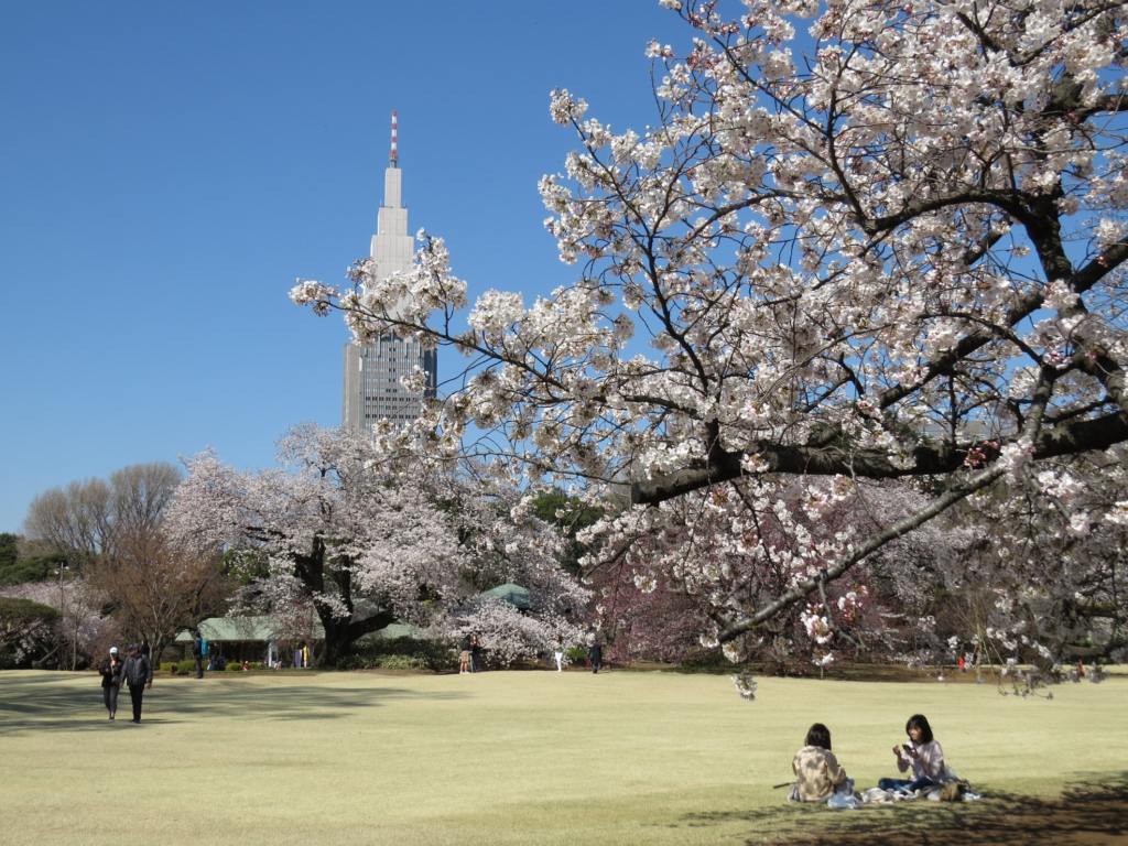 Best Time to Visit Tokyo