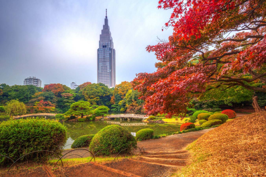 Best Time to Visit Tokyo