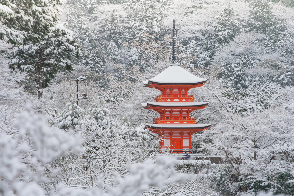 Winter in Tokyo