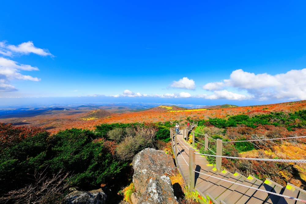 Best time to visit Jeju Island