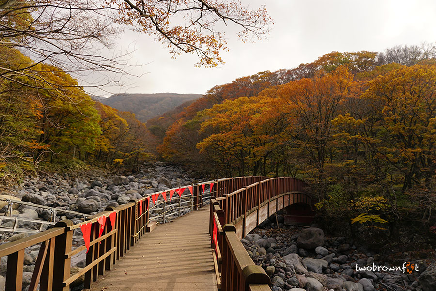 Best time to visit Jeju Island